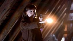 Irene Huss (Angela Kovacs) ist dem Mörder in die Falle gegangen.