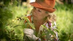 Silke Haller (ChrisTine Urspruch) untersucht die Flora in Sabines Garten. Ihr Hauptaugenmerk liegt dabei auf den giftigen Pflanzen.